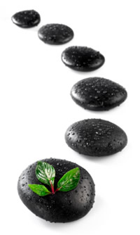 6 Stones